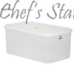 Freezer Container (L31.5 x W19 x H13.5cm)