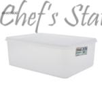 Freezer Container (L25 x W19.5 x H9.5cm)