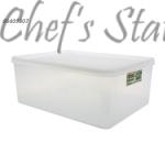 Freezer Container (L28 x W21 x H11cm)