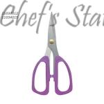 Powerful Stainless Steel Scissor