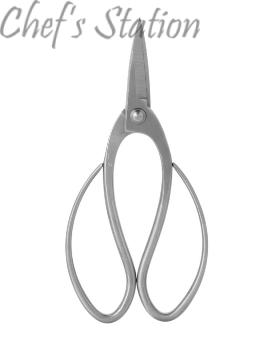Stainless Steel Scissor