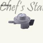 Low Pressure Gas Regulator